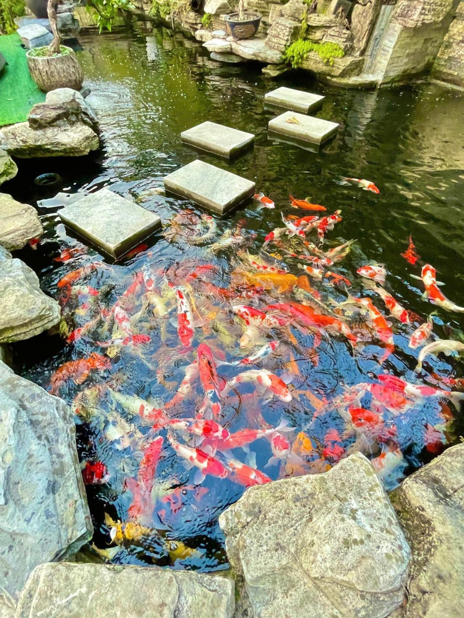 Chuon Chuon Villa Homestay Tam Ðảo Exteriér fotografie